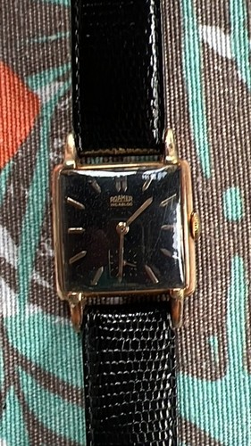 Seltene roamer tank - roamer,