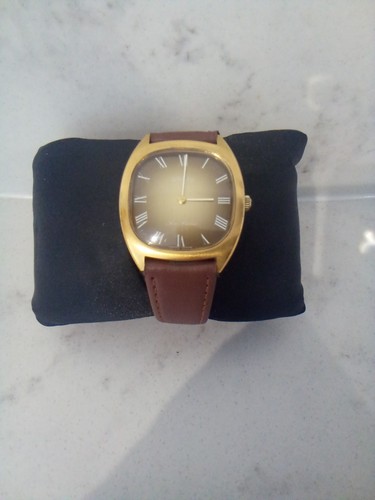 70er jahre swiss roamer san - jahre,